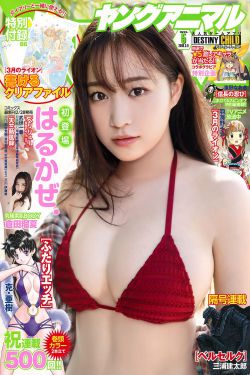 你比星光美丽电视剧免费观看