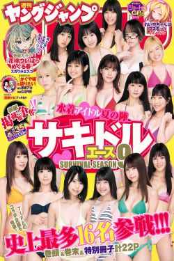 英雄正传