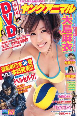 十七岁日本免费完整版BD