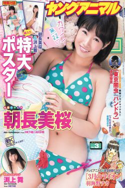 花非花雾非雾第二部