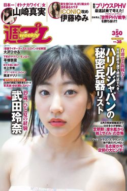 红高粱 电视剧