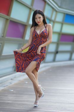 赘婿电视剧完整版免费