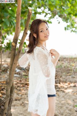 贵族大盗