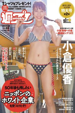 电视剧归路全集免费观看