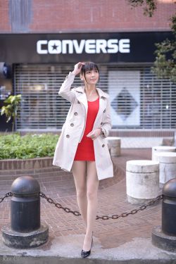 献给阿尔吉侬的花束