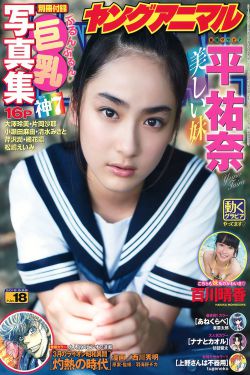 如若巴黎不快乐免费观看电视剧