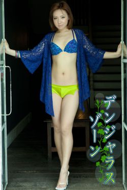 铁核桃电视剧全集
