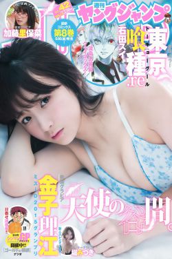 电视剧战旗全集播放