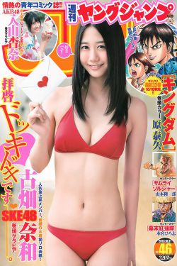 廉石传奇