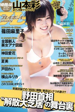 电视剧大当家