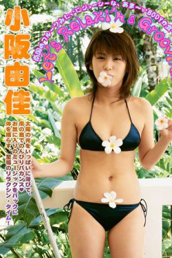 剑王朝电视剧